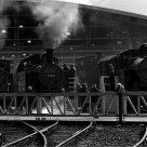 Steam museum open day